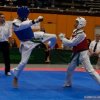 moselcup_2009 110